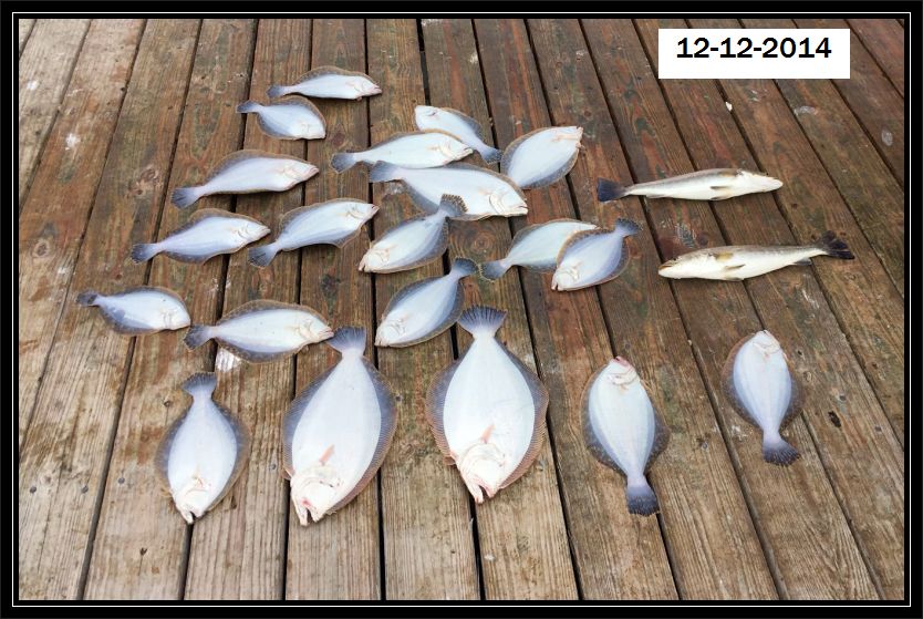 Fishing Tom's Guide Service » Blog Archive » December 12, 2014 A Nice Limit  of Flounder for Captain Tom & Captain Tommy, Plus some Monster Reds!!!